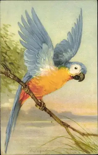 Künstler Ak Wagner, A., Blauer Papagei auf einem Ast