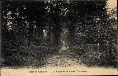 Ak Forêt de Caruelle Fontainebleau Val d´Oise, Route de la Pierre Turquoise