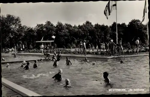 Ak Westerbork Drenthe Niederlande, de boskamp