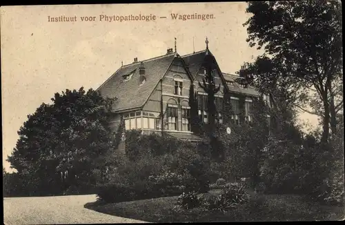 Ak Wageningen Gelderland Niederlande, Instituut voor Phytopathologie