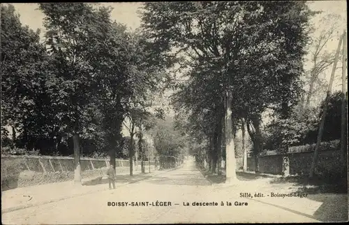 Ak Boissy Saint Leger Val de Marne, Descente de la Gare