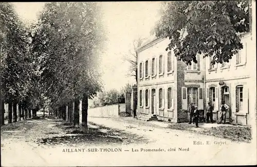 Ak Aillant sur Tholon Yonne, Les Promenades