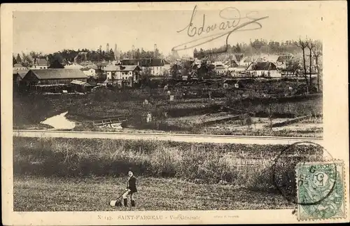 Ak Saint Fargeau Yonne, Vue Générale