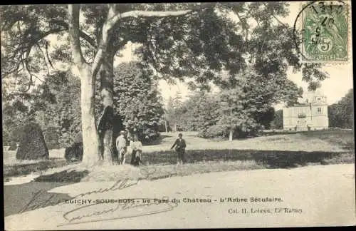 Ak Clichy sous Bois Seine Saint Denis, Le Parc du Chateau, L'Arbre Seculaire