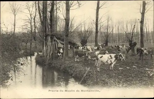 Ak Montainville Yvelines, Prairie du Moulin, Vaches