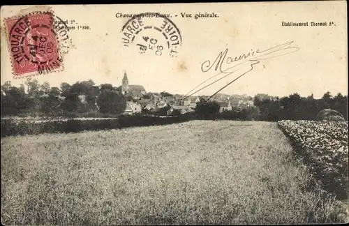 Ak Chavagnes les Eaux Maine et Loire, Vue générale