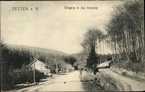 Ak Seesen in Niedersachsen, Eingang in das Granetal