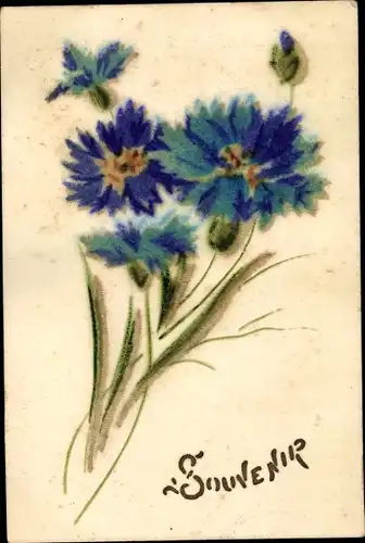 Ak Souvenir, Kornblumen