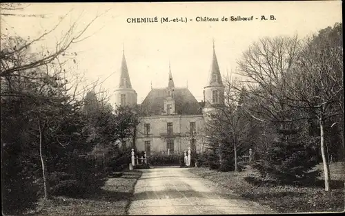 Ak Chemillé Maine et Loire, Chateau de Salboeuf