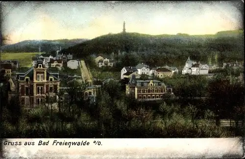 Ak Bad Freienwalde an der Oder, Panorama