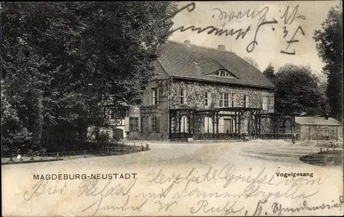 Ak Neustadt Magdeburg in Sachsen Anhalt, Vogelgesang