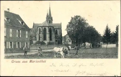 Ak Marienthal Haguenau Hagenau Elsass Bas Rhin, Kloster Marienthal, Ochsenpflug