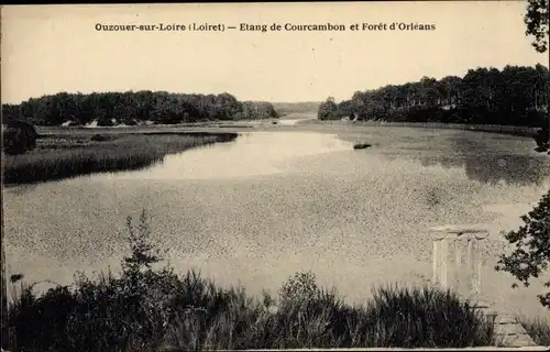 Ak Ouzouer sur Loire Loiret, Etang de Courcambon et Forêt d'Orléans