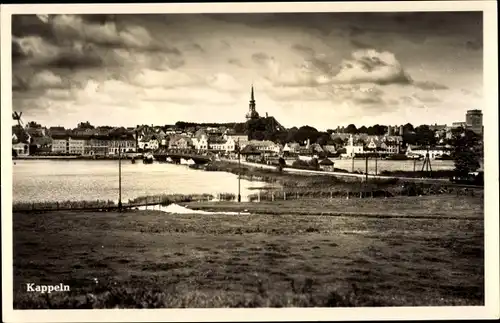 Ak Kappeln an der Schlei, Panorama vom Ort