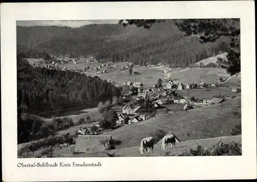 Ak Obertal Buhlbach Baiersbronn Schwarzwald, Panorama vom Ort, Rinder