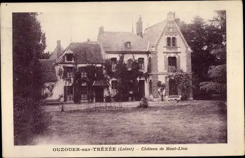 Ak Ouzouer sur Trézée Loiret, Château de Montlion