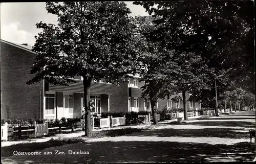 Ak Oostvoorne aan Zee Südholland, Duinlaan