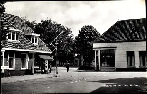 Ak Oostvoorne aan Zee Südholland, Hoflaan