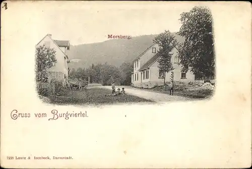 Ak Kirch-Beerfurth Reichelsheim im Odenwald, Burgviertel mit Morsberg