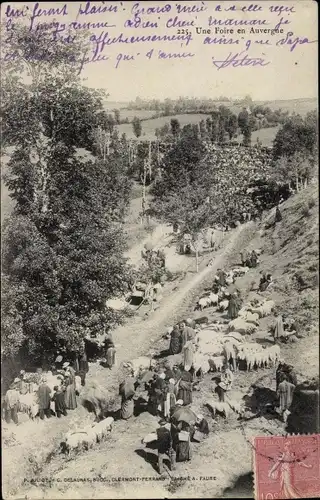 Ak Une Foire en Auvergne, Viehmarkt