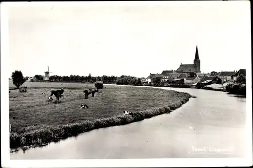 Ak Beesd Geldermalsen Gelderland Niederlande, Blick zum Ort, Kirche, Windmühle
