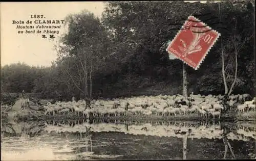 Ak Clamart Hauts de Seine, Bois de Clamart, Moutons s´abreuvant au bord de l ´étang