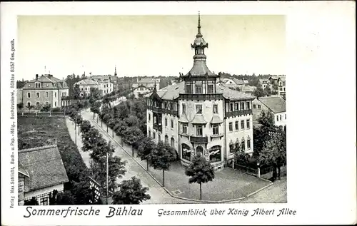 Ak Dresden Bühlau, Gesamtblick über König Albert Allee