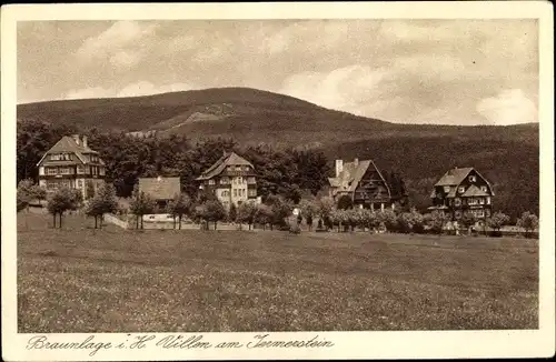 Ak Braunlage im Oberharz, Villen am Jermerstein