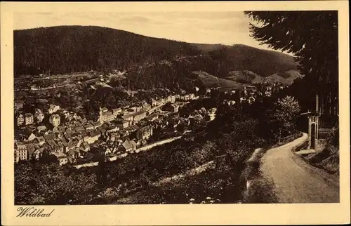 Ak Bad Wildbad im Schwarzwald, Panorama