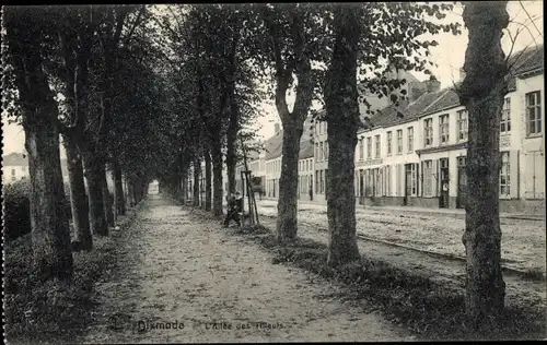 Ak Diksmuide Dixmude Westflandern, L´Allee des Filleuls