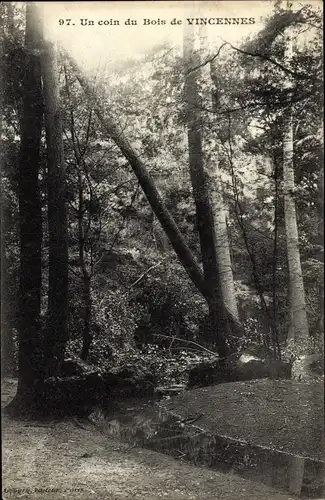 Ak Paris XII Bois de Vincennes, Un Coin du Bois