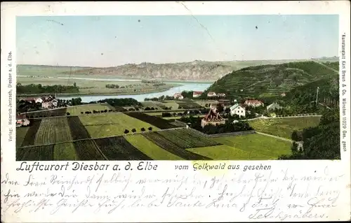 Ak Diesbar Seußlitz Nünchritz an der Elbe, Blick vom Golkwald aus