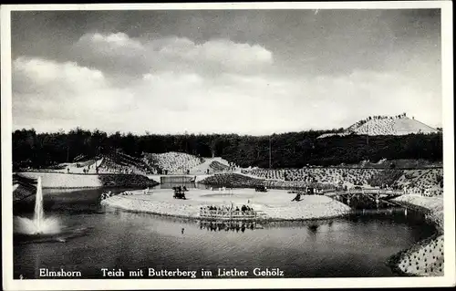 Ak Elmshorn in Schleswig Holstein, Teich mit Butterberg im Liether Gehölz