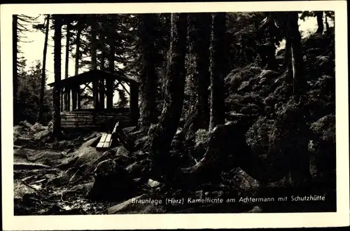 Ak Braunlage im Oberharz, Kamelfichte am Achtermann mit Schutzhütte