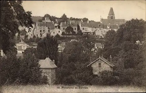 Ak Bièvres Essonne, Panorama