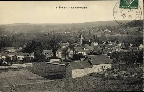 Ak Bièvres Essonne, Panorama