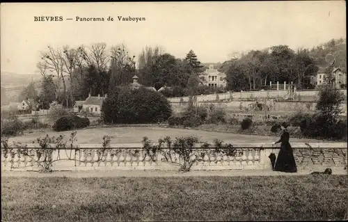 Ak Bièvres Essonne, Panorama de Vauboyen