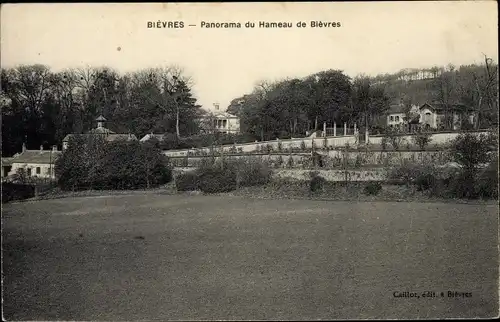 Ak Bièvres Essonne, Panorama du Hameau