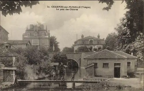 Ak Charmes Vosges, Le Pont des Chevres