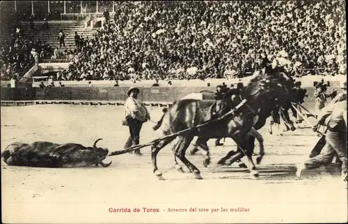 Ak Corrida de Toros, Arrastre del toro par les mulillas, Stierkampf, Torero