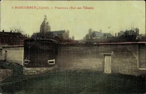 Ak Boiscommun Loiret, Panorama Mail aux Tilleuls