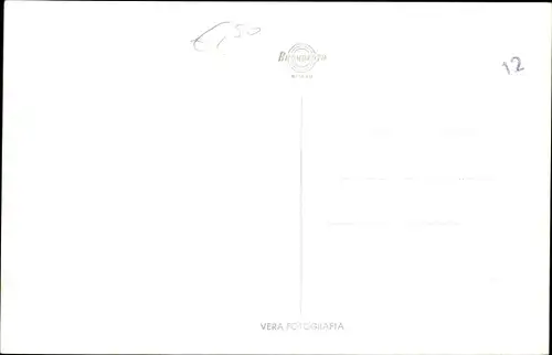 Ak Katze, Langes Fell, Seitenansicht