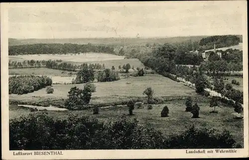 Ak Biesenthal Barnim Brandenburg, Panorama, Wehrmühle