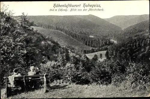 Ak Hohegeiß Braunlage im Oberharz, Blick von der Mönchsbank