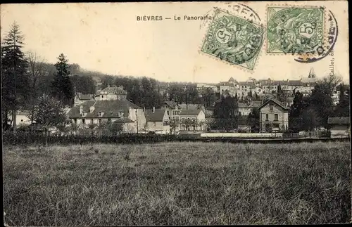 Ak Bièvres Essonne, Panorama