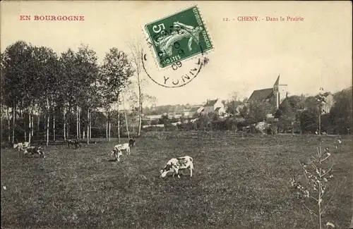 Ak Cheny Yonne, Dans la Prairie, Pré avec des Vaches