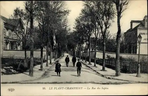 Ak Le Plant Champigny sur Marne Val de Marne, Rue des Sapins