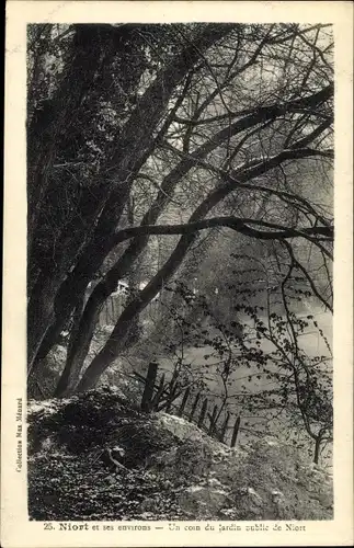 Ak Niort Deux Sèvres, Un Coin du Jardin Public