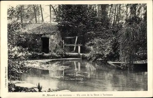 Ak Niort Deux Sèvres, Un Coin de la Sèvre à Surimeau