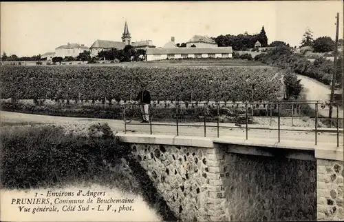 Ak Pruniers Loir et Cher, Vue Générale